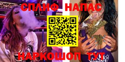 стаф Будённовск
