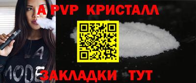 стаф Будённовск