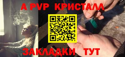 стаф Будённовск